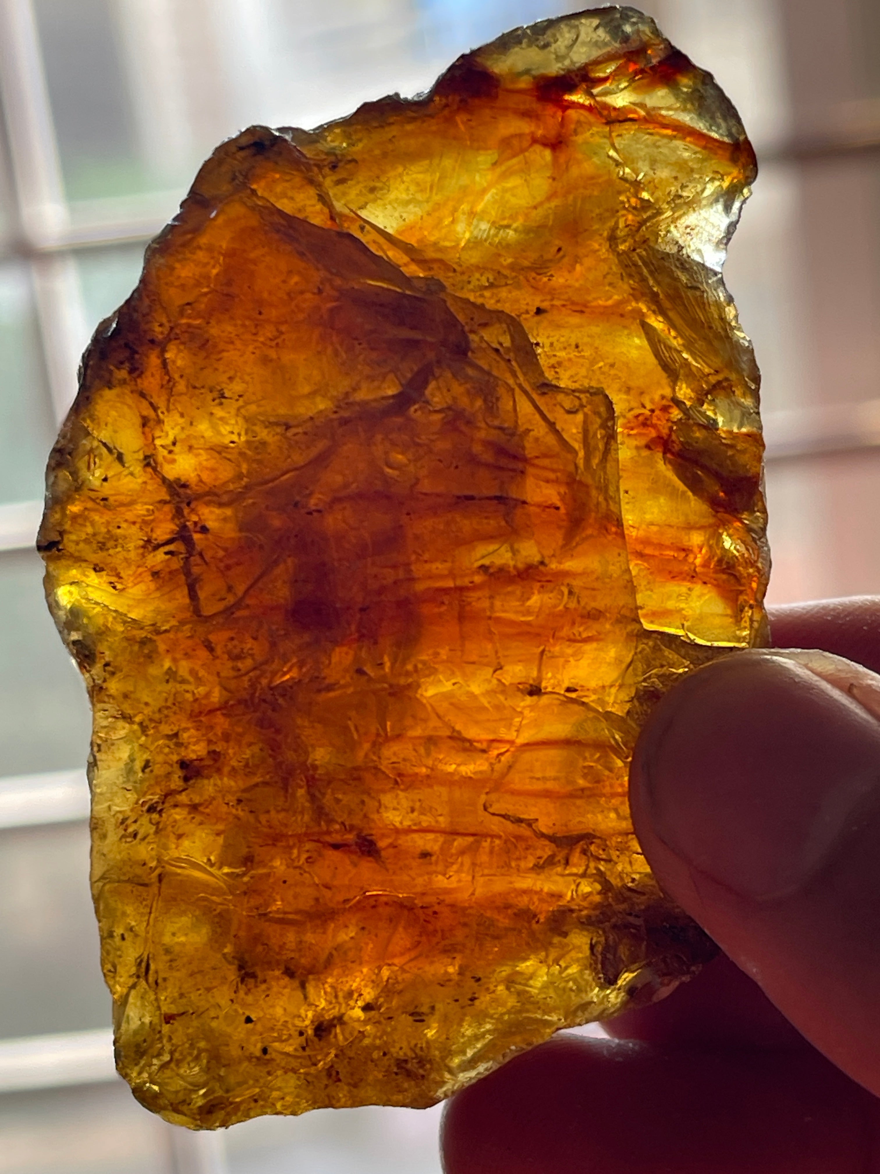 24.73 grams Amber Raw Stone for Collection | Lapidary