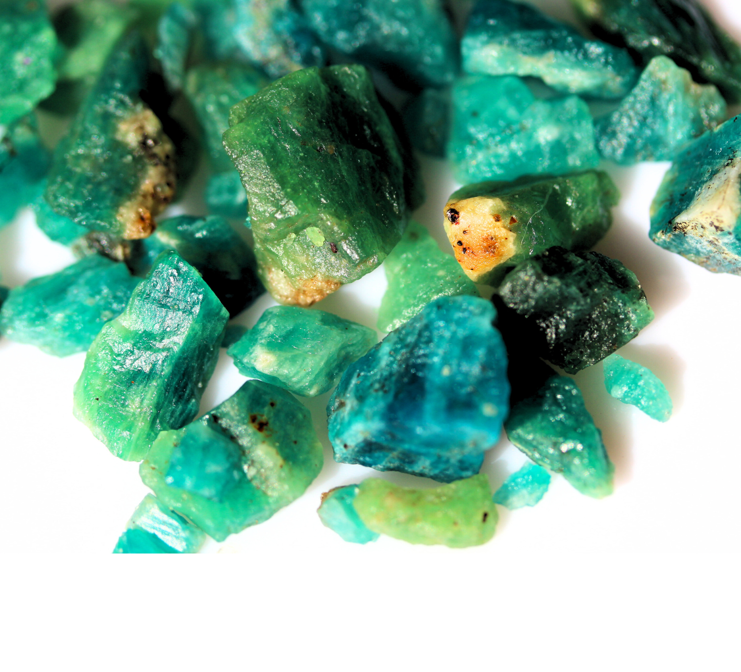 You Also May Like....