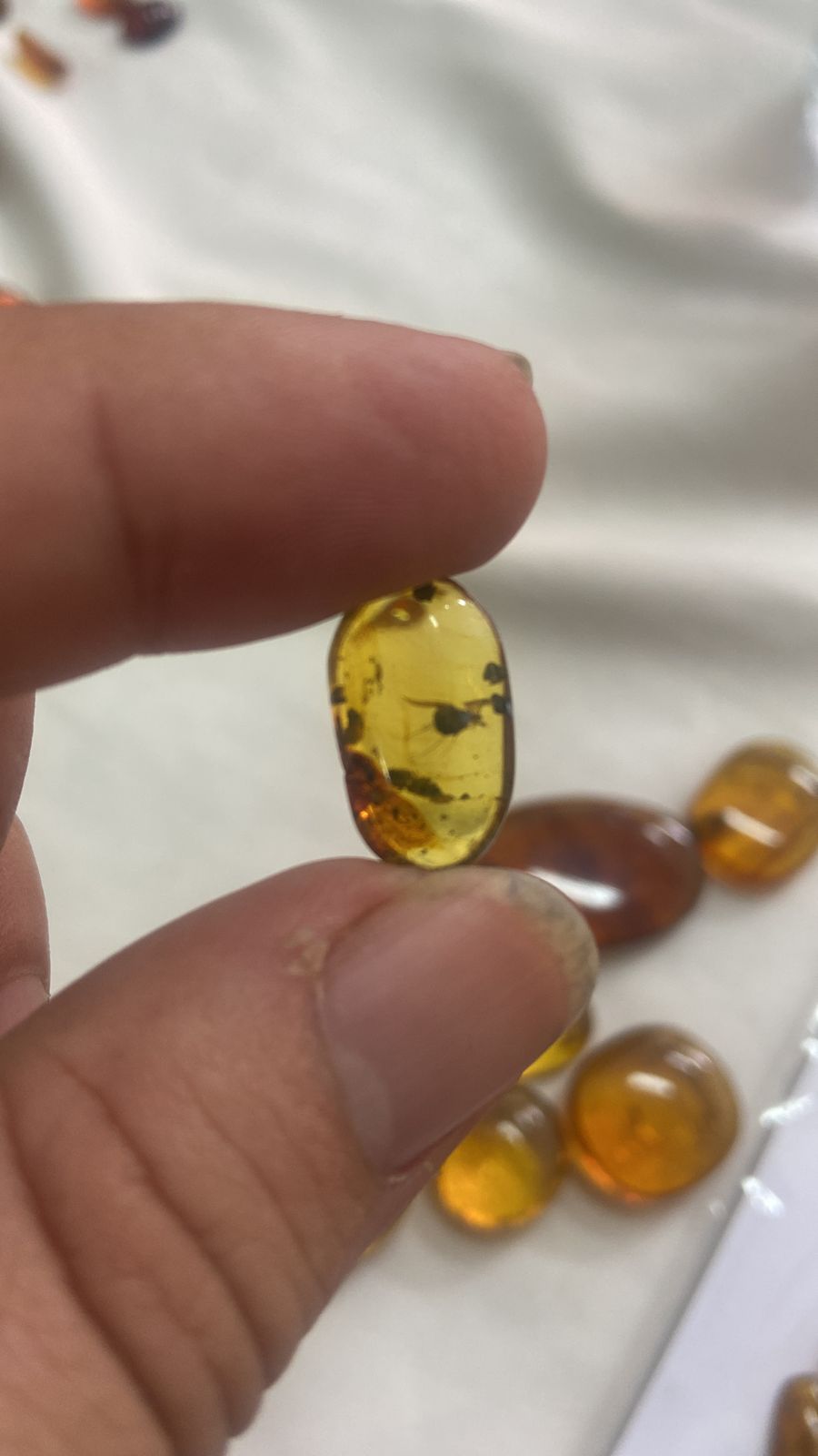 Natural Burma Amber Bermite with Insects Fossils Including dinosaur era, 99 million years old, Cretaceous,