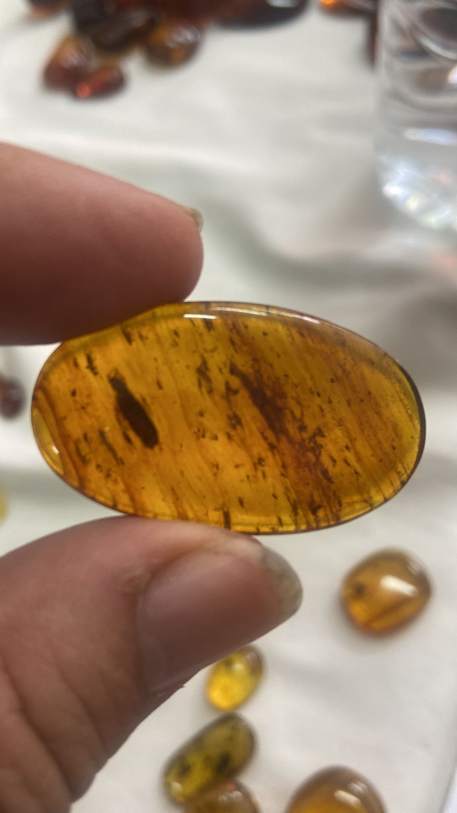 Natural Burma Amber Bermite with Insects Fossils Including dinosaur era, 99 million years old, Cretaceous,