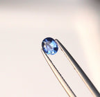 0.48 carats Oval Ceylon Blue Sapphire Gemstones
