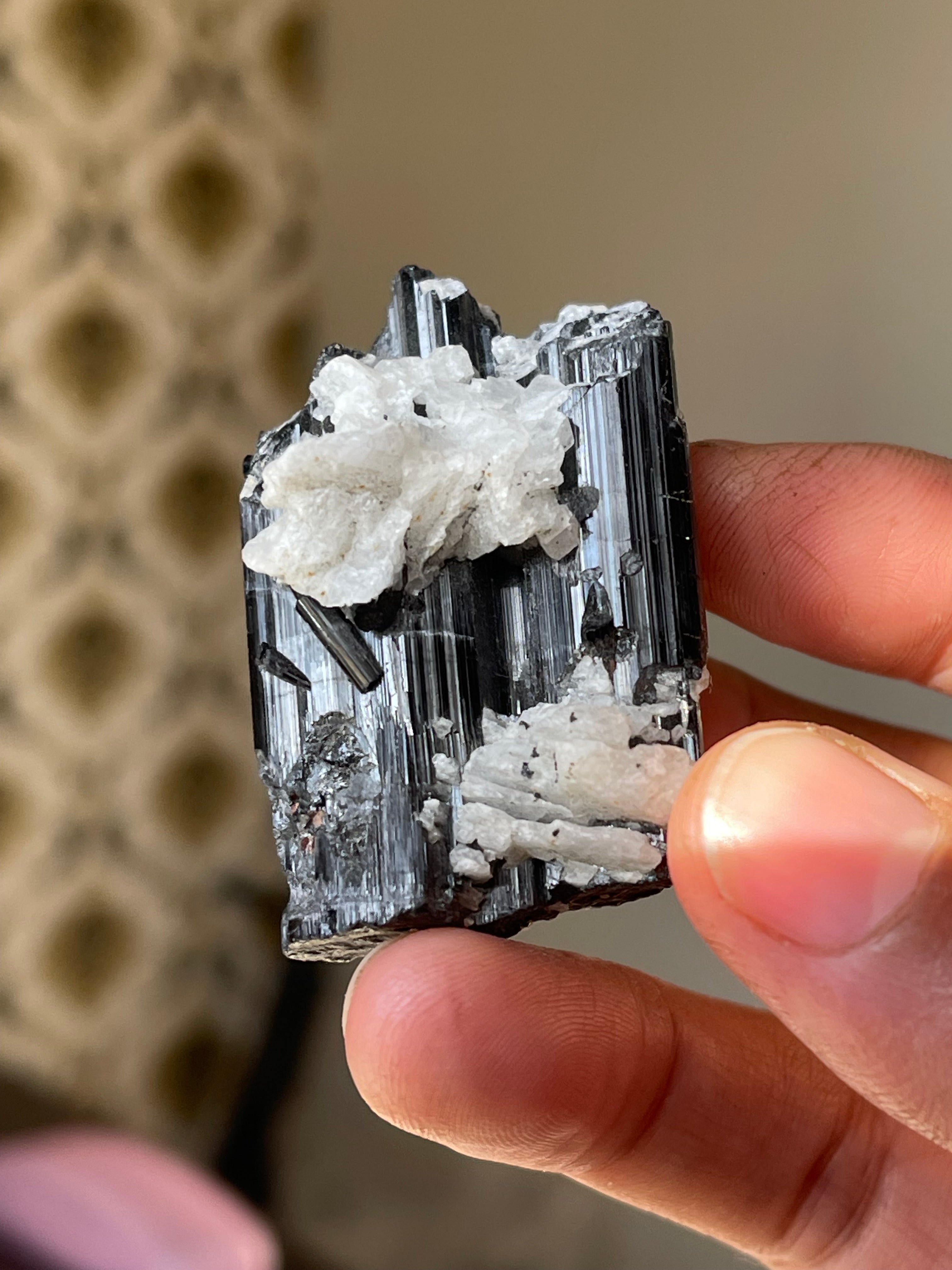 42.8 grams Black Tourmaline Crystals on Feldspar