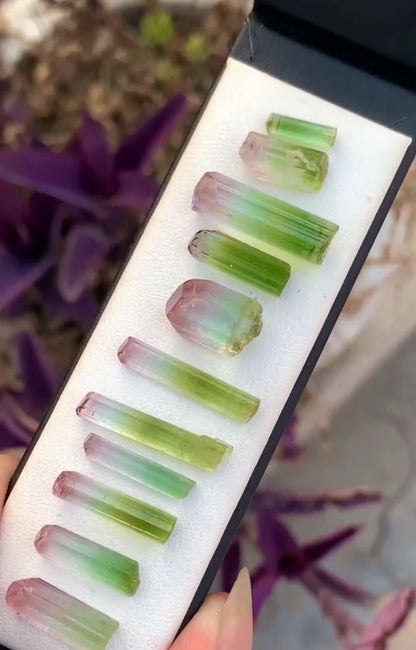 53 Carats Rare Raw Bi color Tourmaline crystals for Faceting