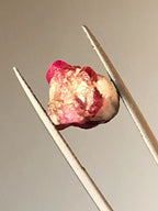 10 Carats Rough Ruby Crystal on Metrix - From Afghanistan