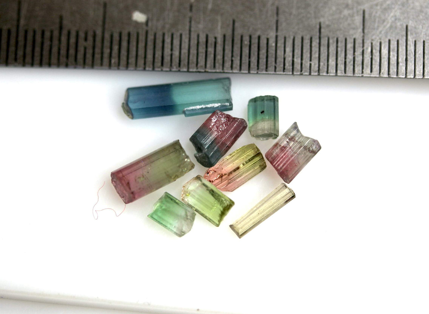 7.8 carats Bi Color Tourmaline Rough Crystals
