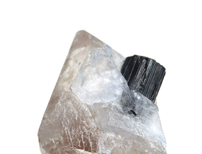 57.1 Grams Black Tourmaline on Quartz Crystal
