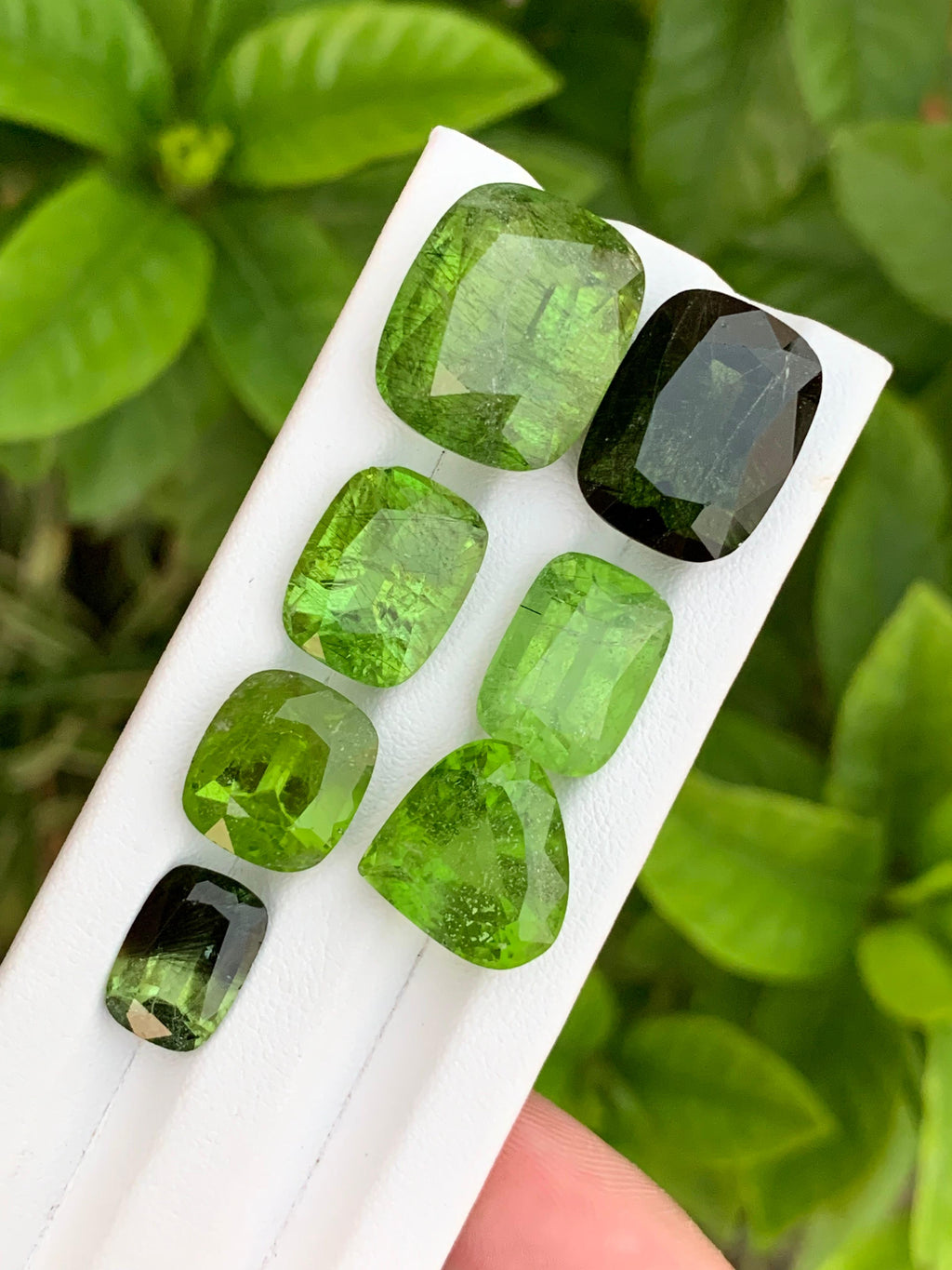 7 Pieces Big Size Rutile Peridots Loose Gemstones