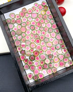 140 Carats Watermelon Tourmaline Slices | Pink -Green