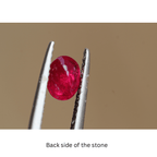 Pigeon Red Ruby