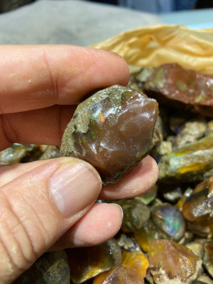 Rough Opal for Lapidary | Raw Opal Deals under 1 to 3 kg