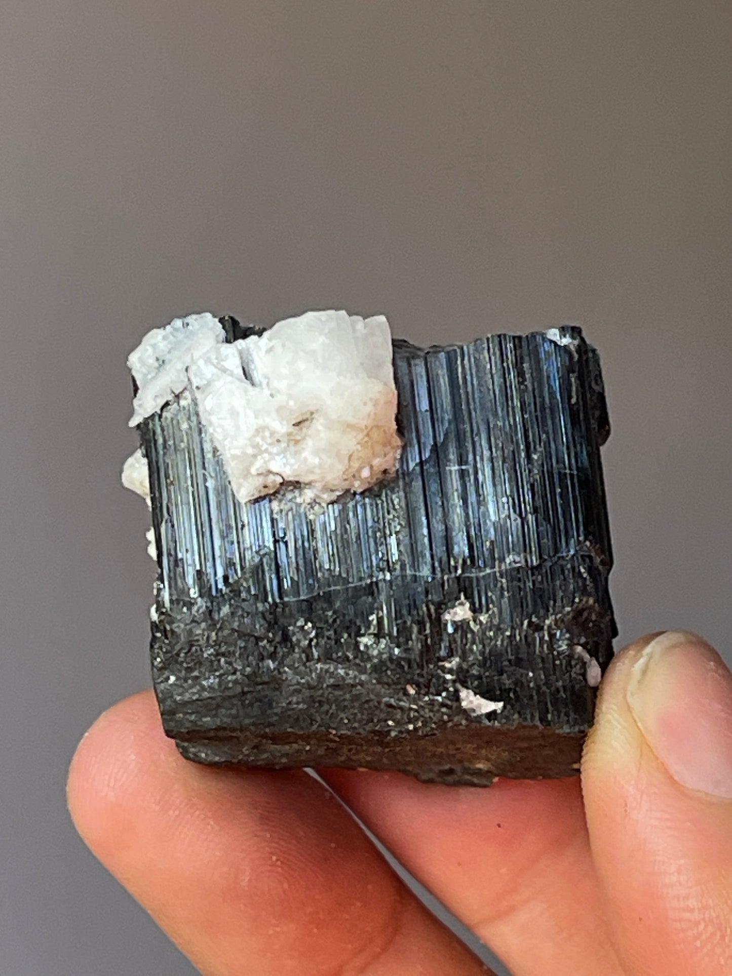 50.9 grams Black Tourmaline on Feldspar, Skardu, Pakistan