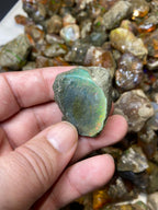 Rough Opal for Lapidary | Raw Opal Deals under 1 to 3 kg
