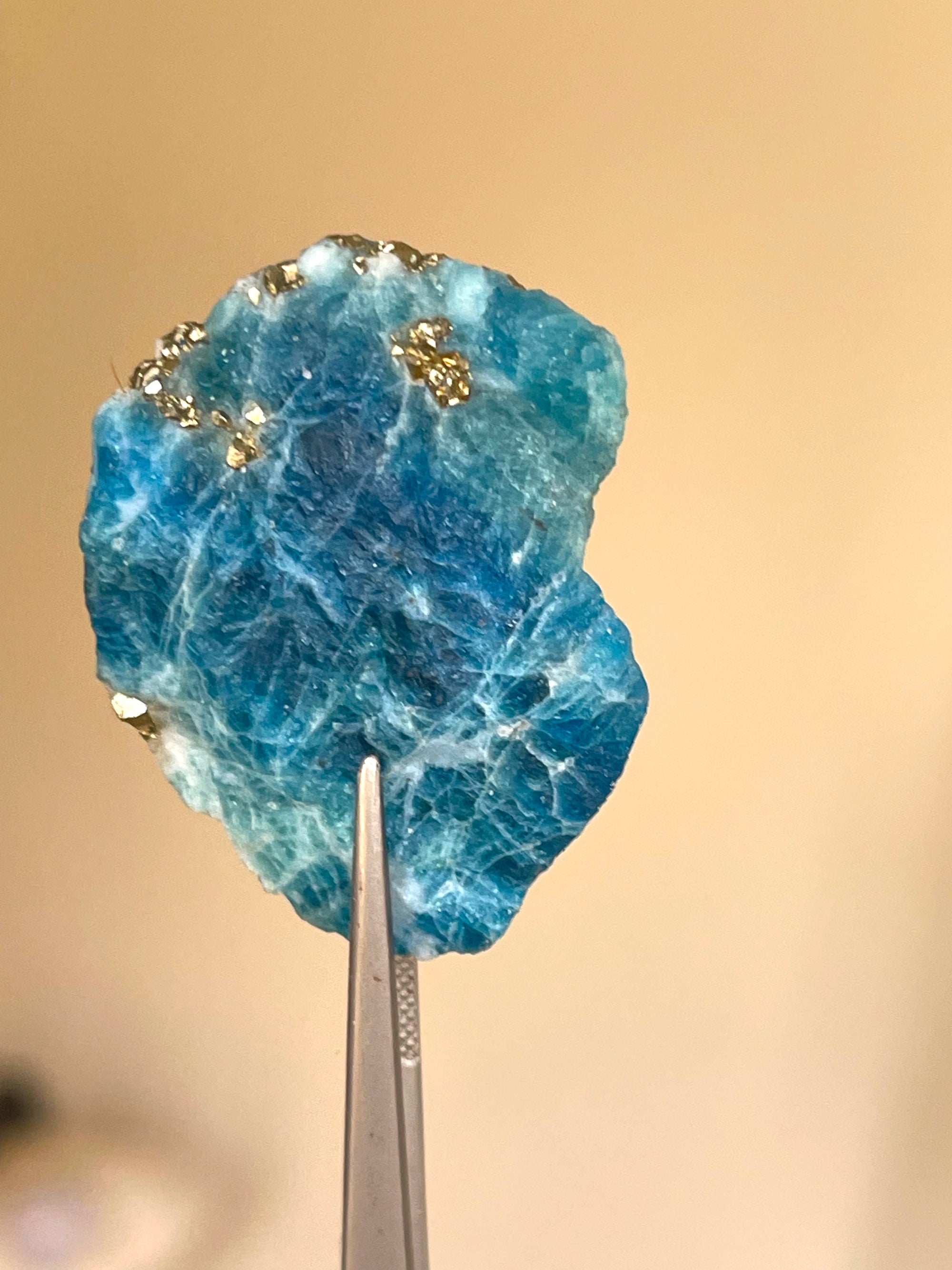 Purchase Blue Sodalite with Golden Pyrites Flakes Specimen