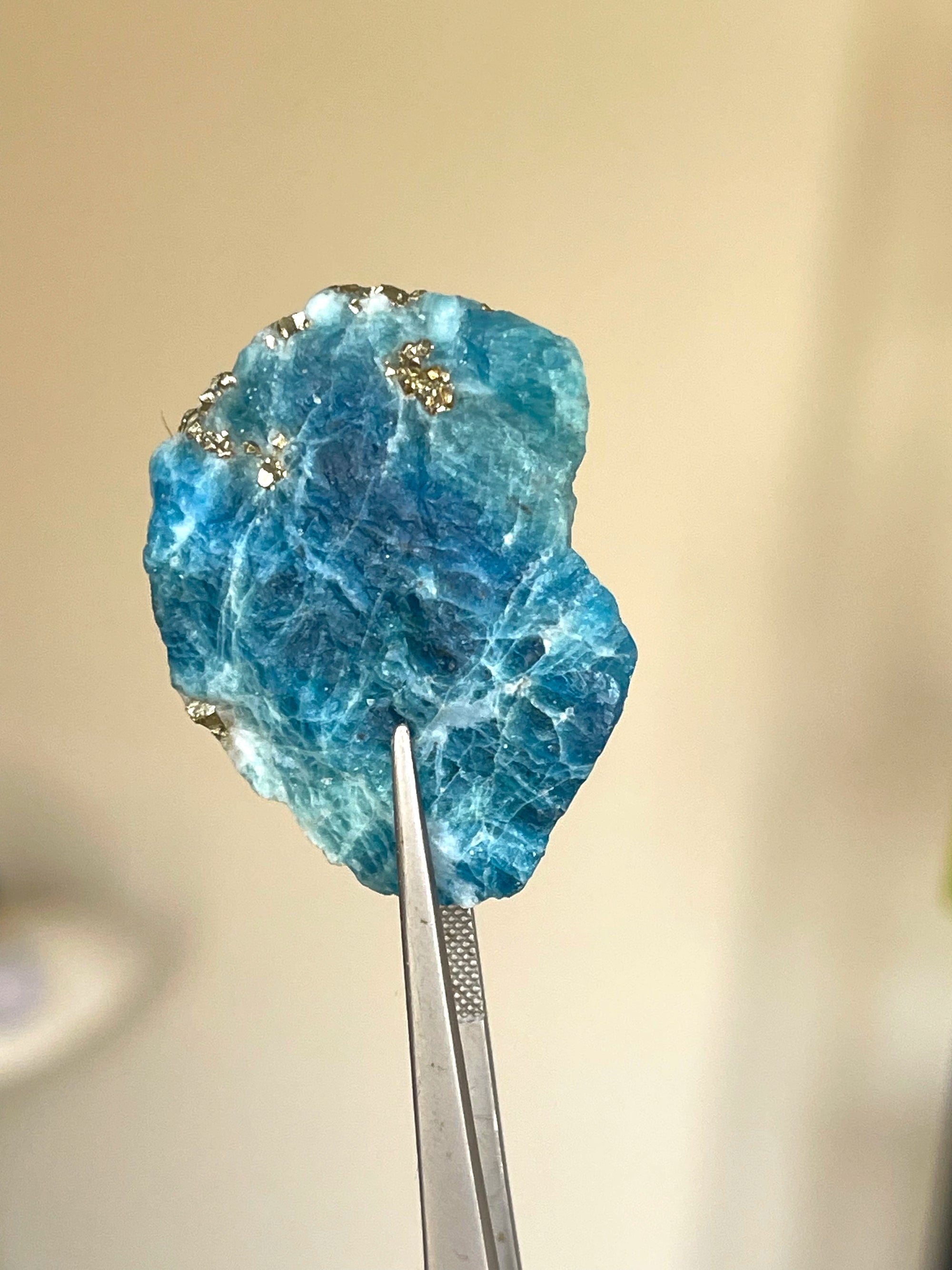 Buy Rare Blue Haüyne / Sodalite with Golden Pyrites Flakes Specimen
