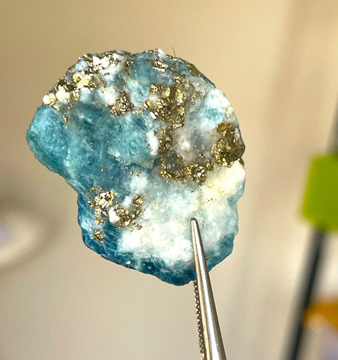 Explore Rare Haüyne with Golden Pyrites Flakes Specimen