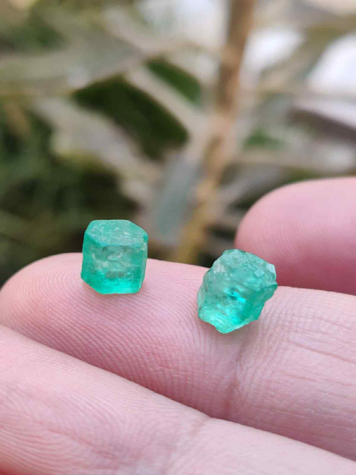 You May Also Like This Facet Grade Emerald Pair