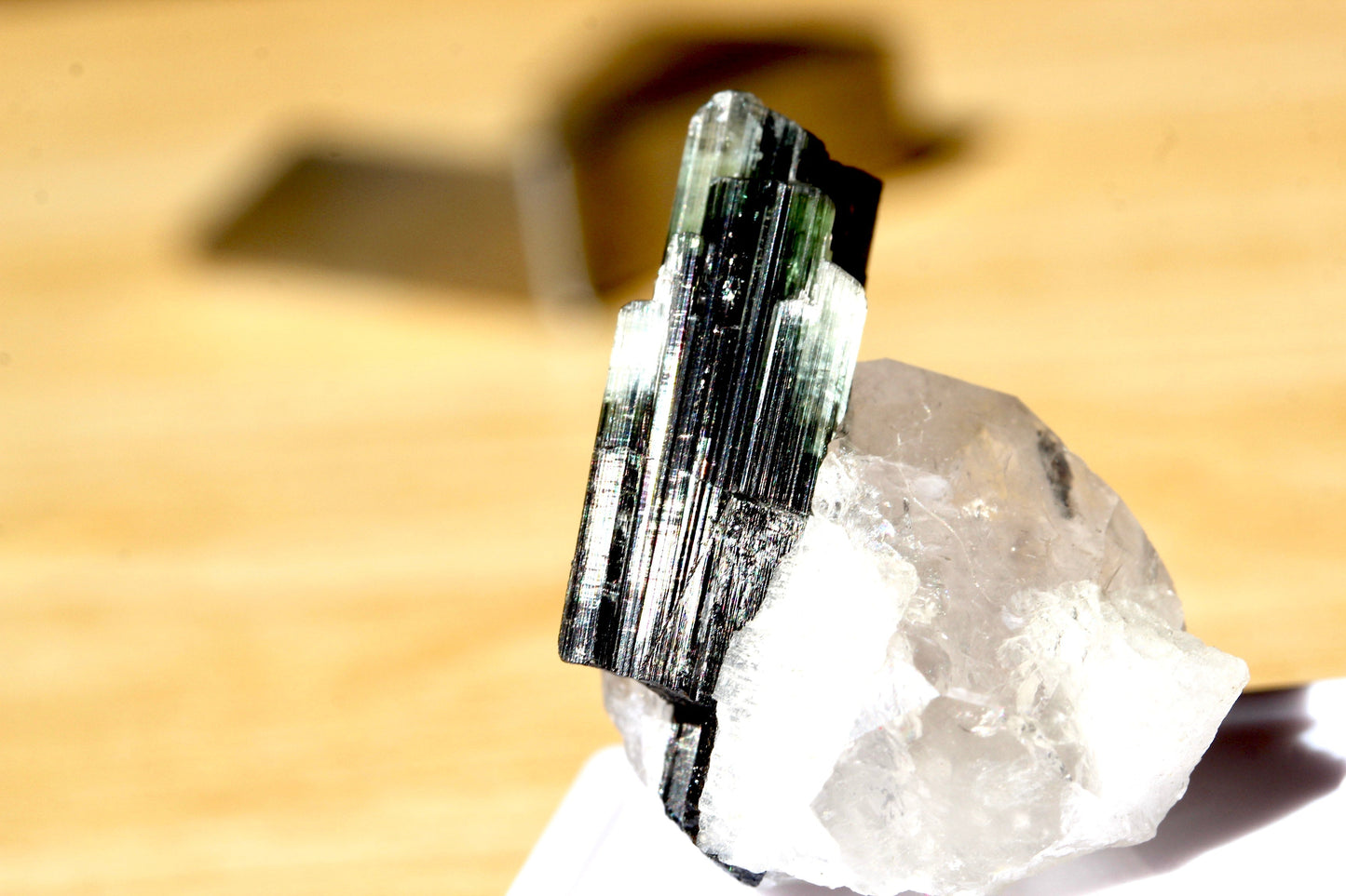 Bi Color Tourmaline on Quartz from Stak Nala Pakistan