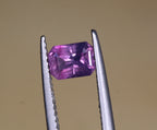You Also May Like This Kashmir Sapphire pink