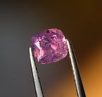 1.57carats Cushion Purplish Pink Sapphire | Batakundi Sapphire from Kashmir