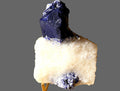 A natural mineral specimen featuring a dark blue lapis lazuli crystal cluster on a white quartz matrix, displayed on a small stand over a wooden surface.