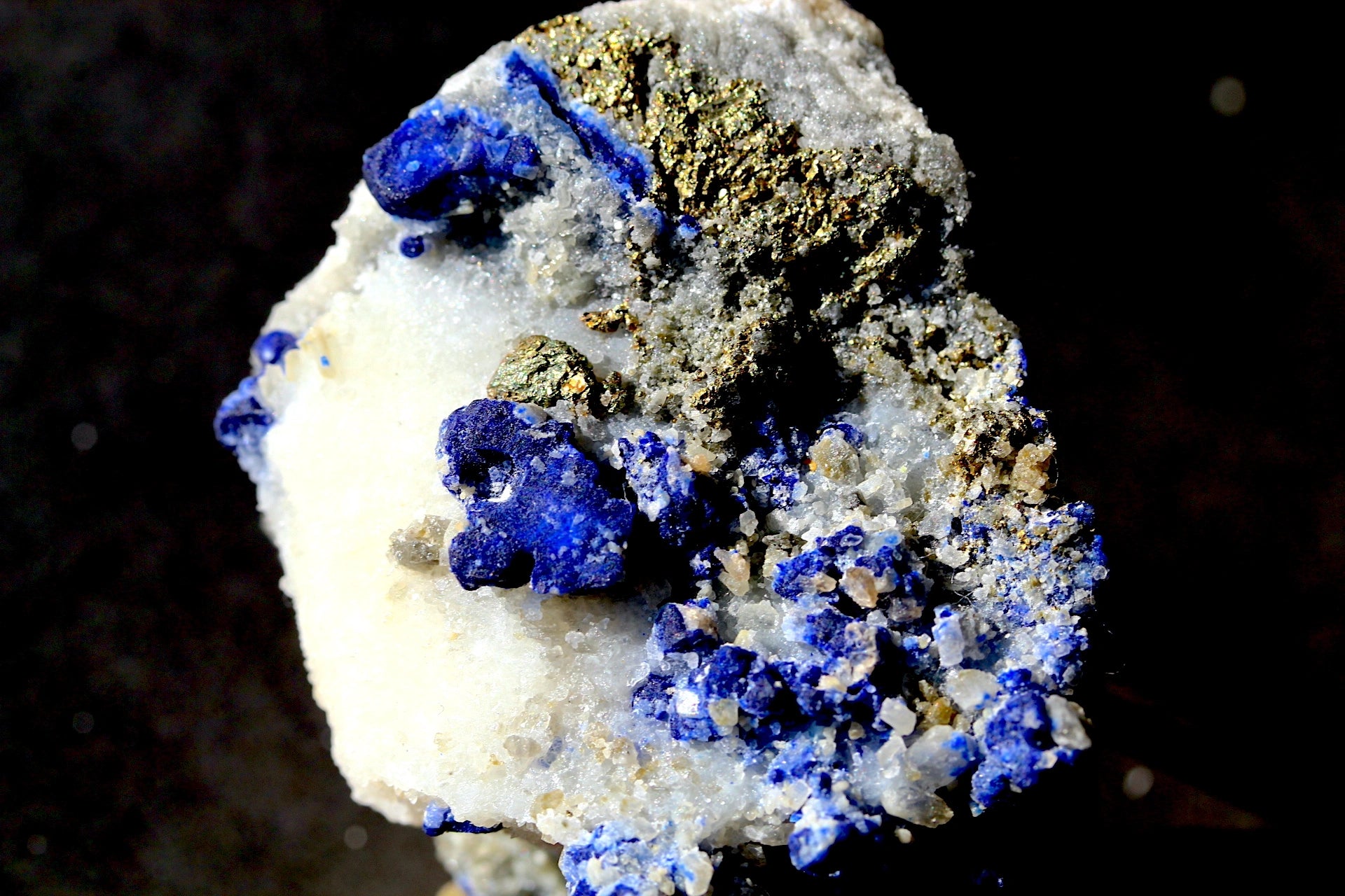 A close-up of a mineral specimen featuring bright blue lapis lazuli crystals on a white matrix with metallic gold pyrite