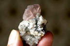12.3 Grams Rare Pink Apatite with Mica
