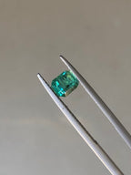 Rare Indicolite loose gems