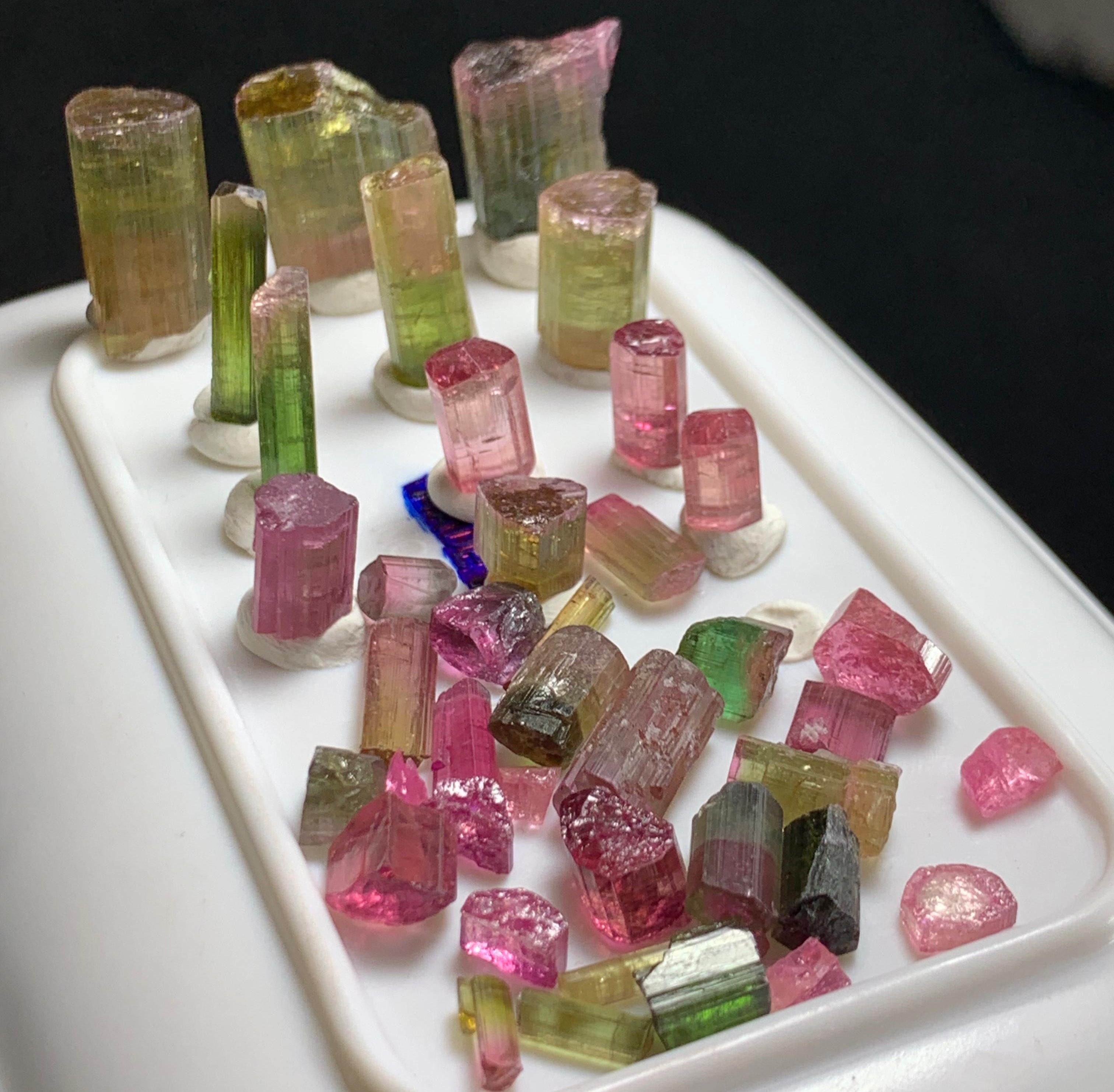 A collection of raw tourmaline crystals in pink, green, and yellow colors displayed on a white tray.