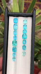 14 Carat Cushion Cut Apatite Loose Stone Deal
