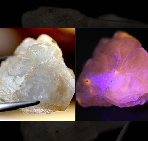 Shop Hackmanite Crystal – UV Reactive Stone from Afghanistan