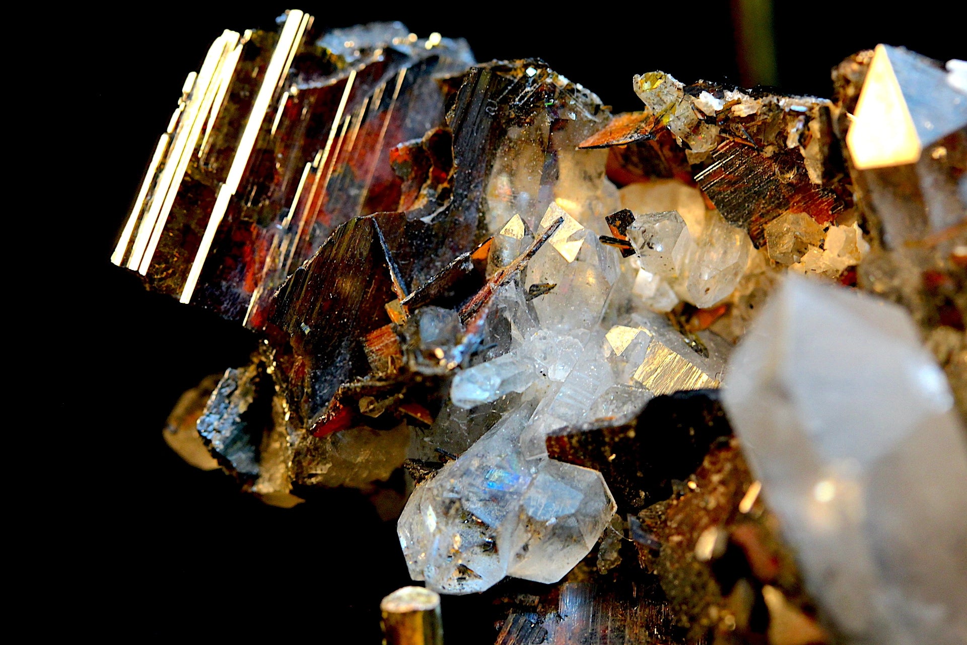 A close-up of a mineral specimen featuring metallic gold
