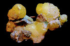 yellow Brucite crystals with rough chrysocolla matrix
