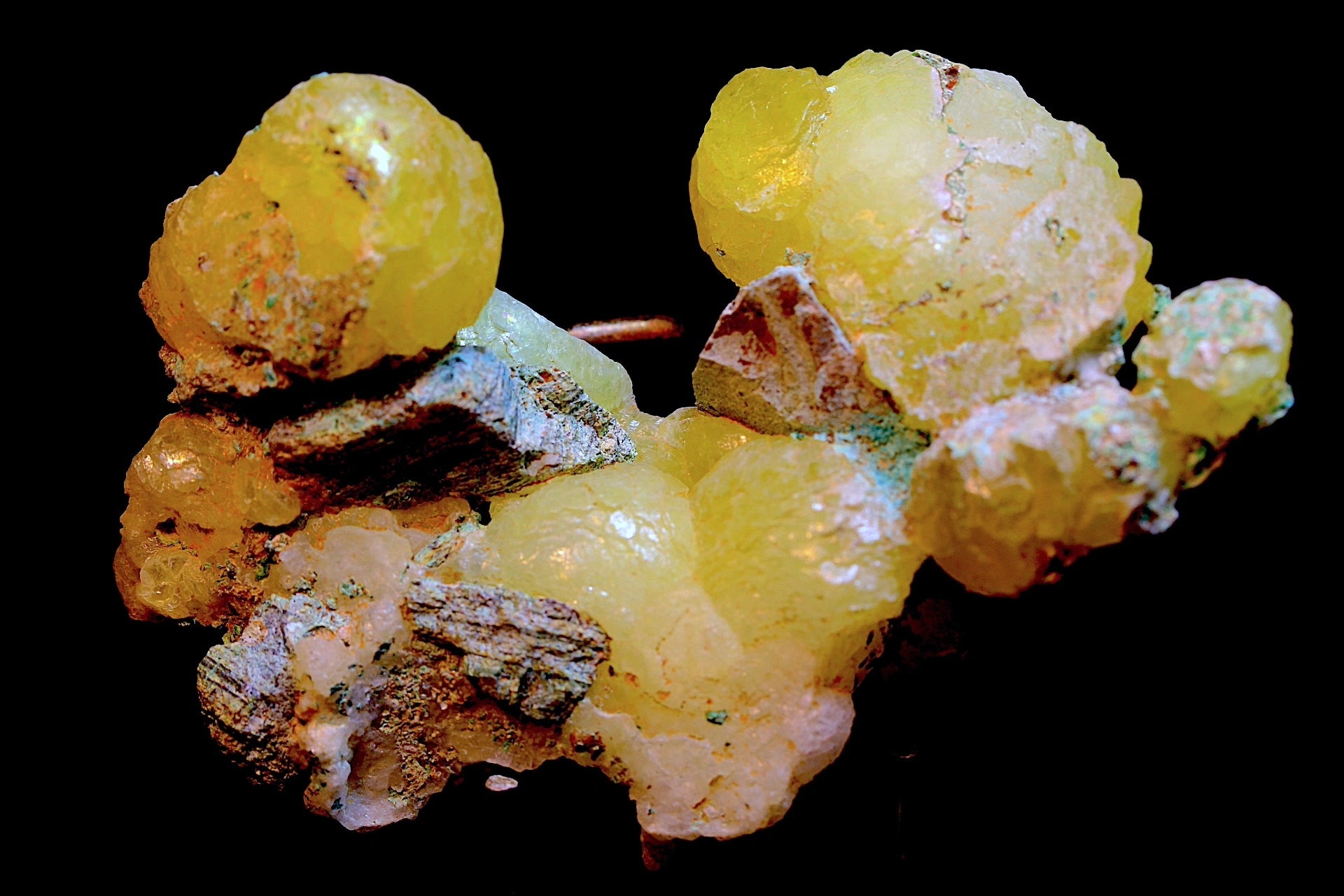 yellow Brucite crystals with rough chrysocolla matrix