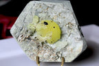 341g Natural Brucite on Matrix – Baluchistan, Pakistan