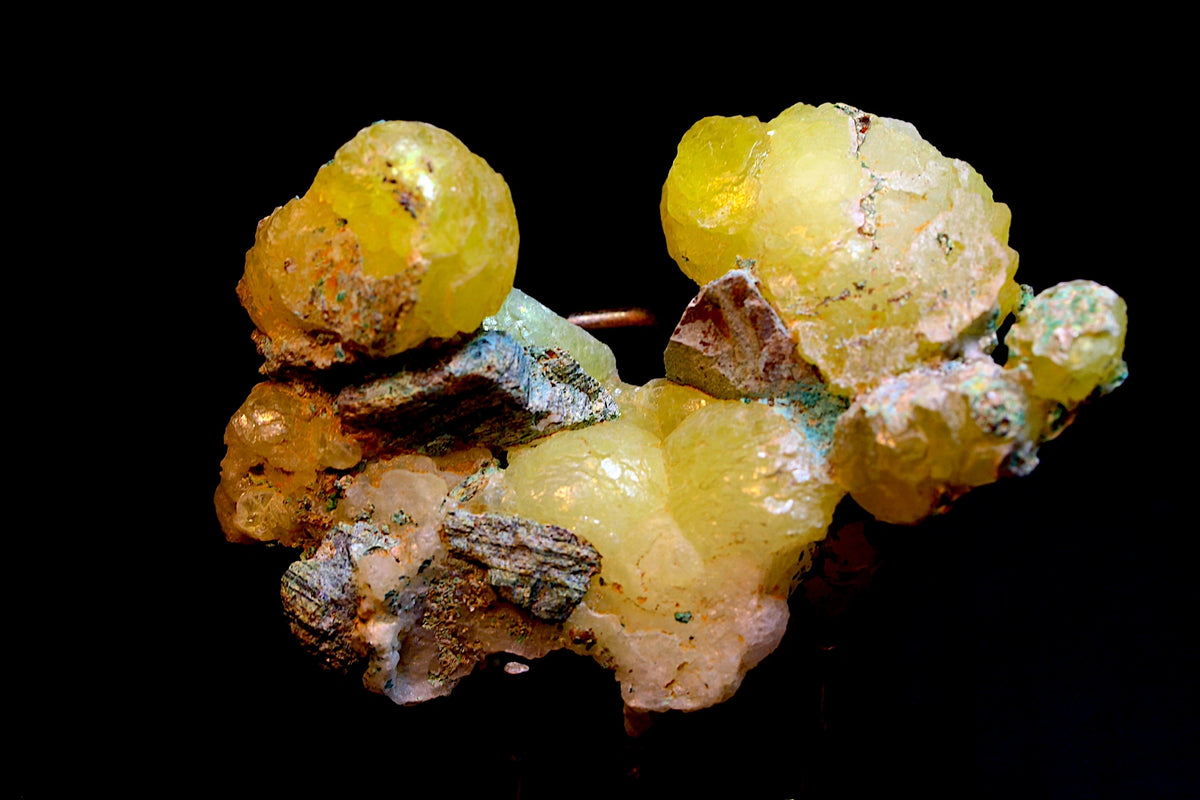 A cluster of yellow Brucite crystals with rough chrysocolla matrix