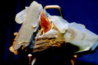 A mineral specimen Chlorite Quartz with Brookite on Matrix 