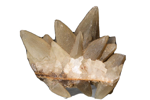 Explore Dog Tooth Calcite 