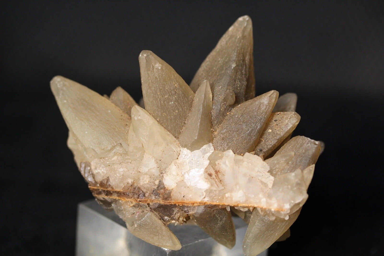 Unique Dog Tooth Calcite Crystal Cluster