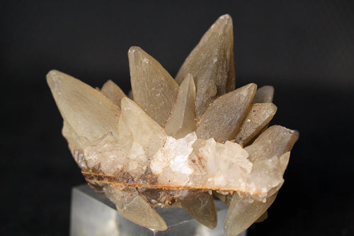 Unique Dog Tooth Calcite Crystal Cluster