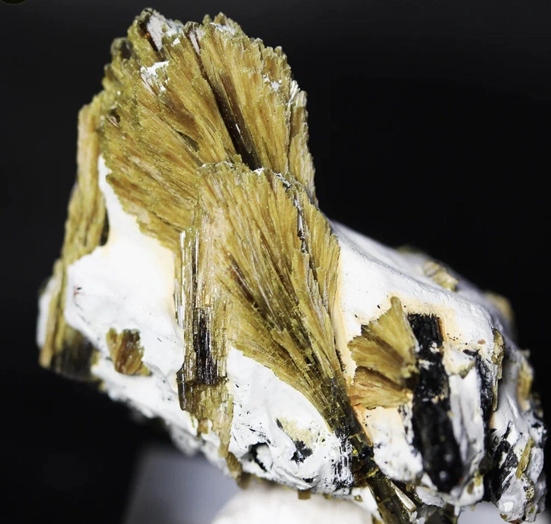 Explore unique epidot cluster