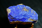 Uncut lapis lazuli crystal specimen with vibrant blue coloration and metallic gold pyrite inclusions