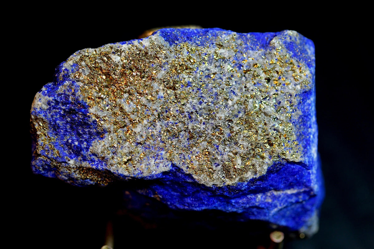 A raw mineral specimen featuring a vibrant blue lapis lazuli base with a prominent metallic gold pyrite matrix, 