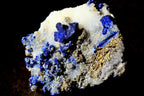 A natural mineral specimen with vivid blue lapis lazuli crystals 