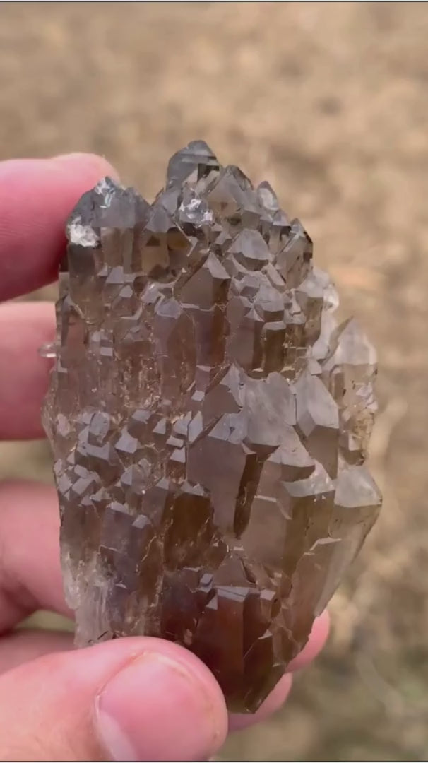 70 Gram Aesthetic Smoky
Quartz Cluster with Sharp Terminations & High Luster