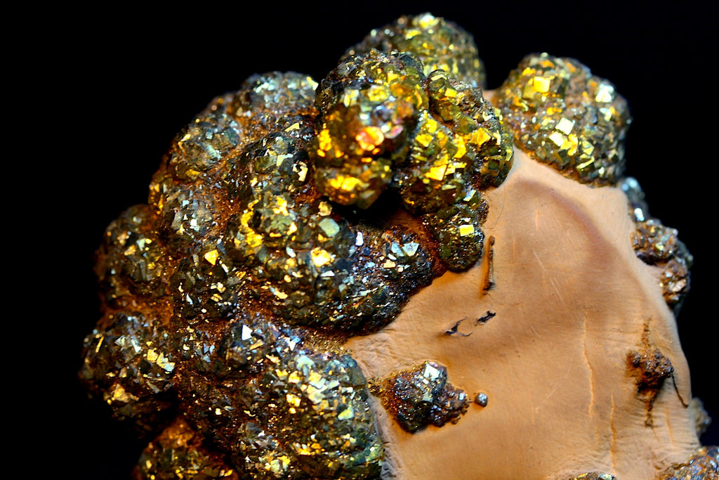 mineral specimen featuring large, chunky clusters of metallic gold and green pyrite crystals growing on a smooth, tan-brown matrix