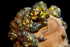 mineral specimen featuring large, chunky clusters of metallic gold and green pyrite crystals growing on a smooth, tan-brown matrix