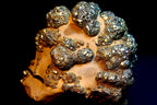 Golden Iron Pyrite on Limonite Matrix – Botryoidal Cluster, 250g | Pakistan