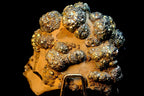 Attractive Golden Color Pyrite Crystals on Limonite Matrix ...
