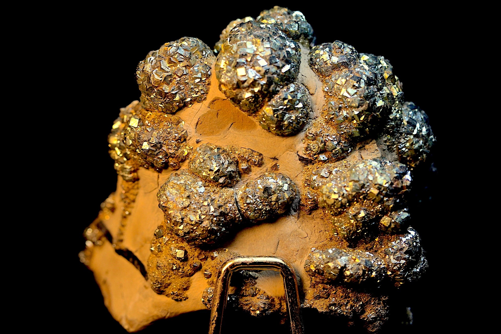 Attractive Golden Color Pyrite Crystals on Limonite Matrix ...