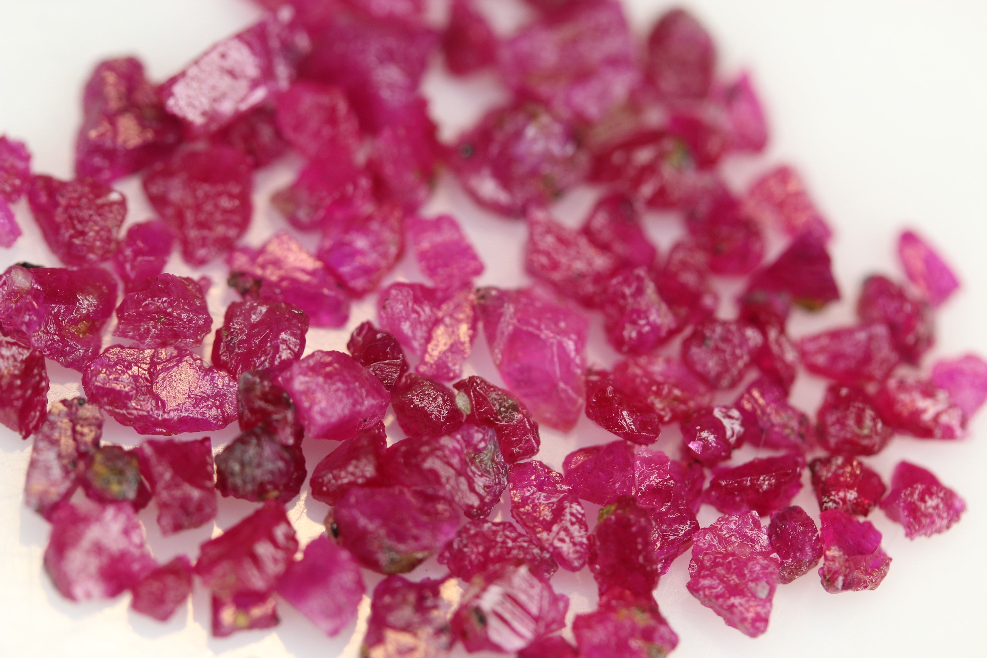 Buy Raw Pigeon Blood Rubies